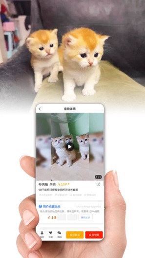 网喵des captures d'écran de l'application3