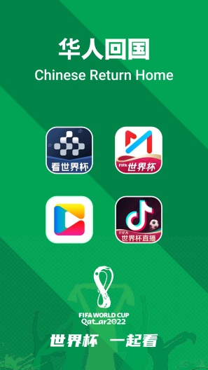 FIFA翻大陆 Screenshots1