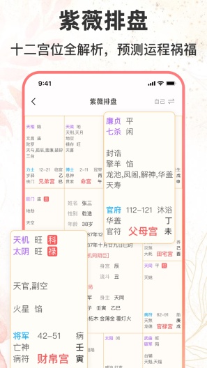 八字排盘助手的應用截圖3