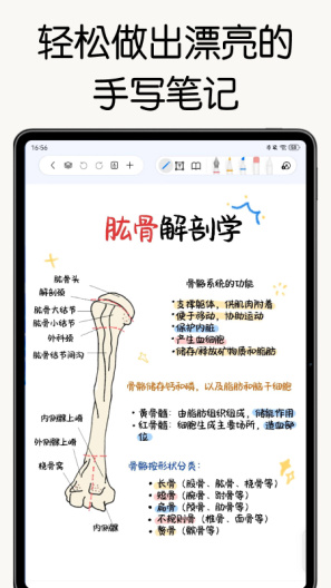 自由笔记 Screenshots1