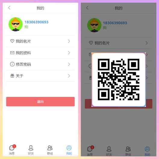 chat Screenshots6