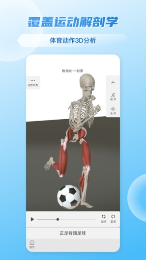 维萨里3D解剖教学 Screenshots4