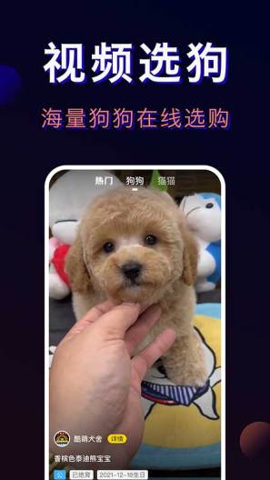 宠物宝-一站式宠物服务平台 Screenshots2