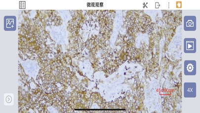 SMESdes captures d'écran de l'application4