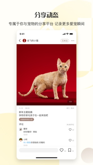 集宠区的應用截圖3