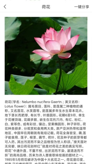 拍照识物全能王 Screenshots3