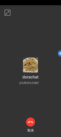 Dora Chat Screenshots7