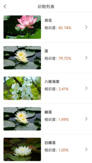 拍照识物全能王screenshot dell'app2