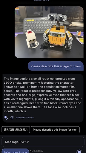 RWKV Chat Screenshots5