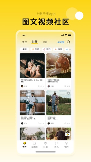 宠行宝 Screenshots5
