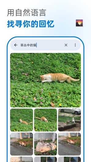 PicQuery Screenshots2