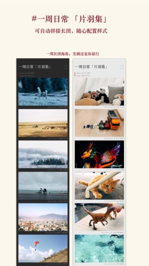 片羽集的应用截图6