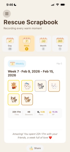 ShelterFocus的应用截图2