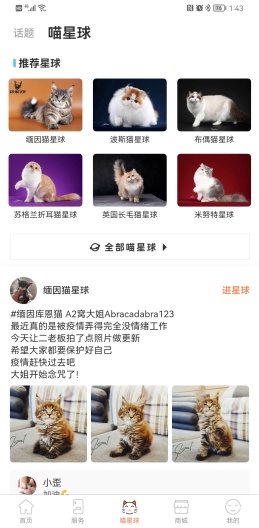 世宠 Screenshots3
