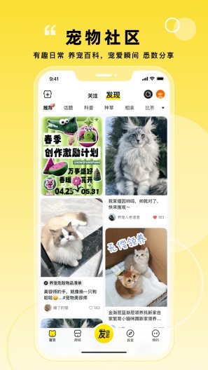 宠胖胖的應用截圖2