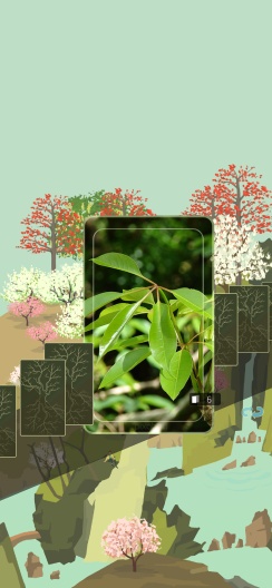 老农种树 Screenshots
