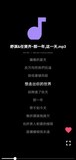 ShortVideoPlayer Screenshots3