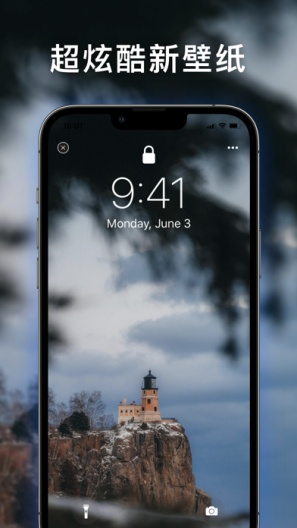 LiveWallpapers的应用截图2